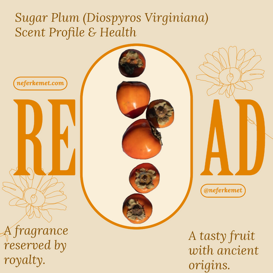 Sugar Plum (Diospyros Virginiana) Scent Profile & Health