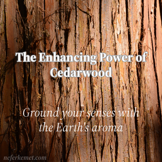 The background is the bark of the cedarwood tree with the text of the blog post title.