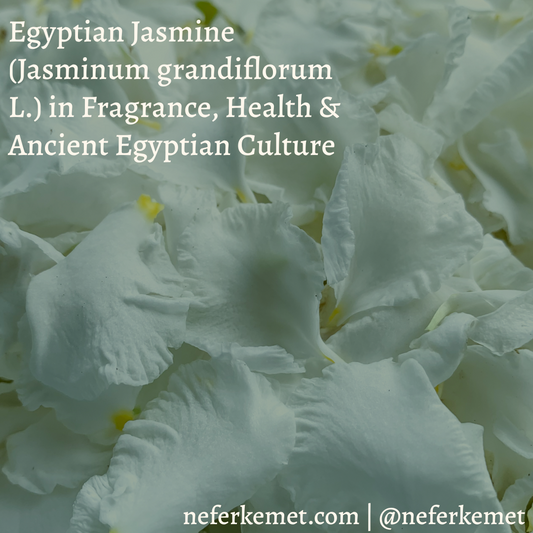 Egyptian Jasmine in Fragrance ( Jasminum grandiflorum L.), Health & Ancient Egyptian Culture