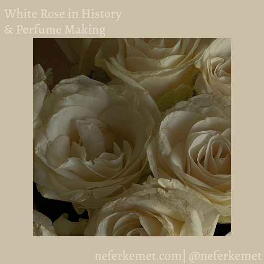 Image of white roses overlapping a beige background. There are cream letters of the blog name and of the website and social media.